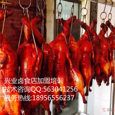 熟食培训,兴业正宗熟食培训